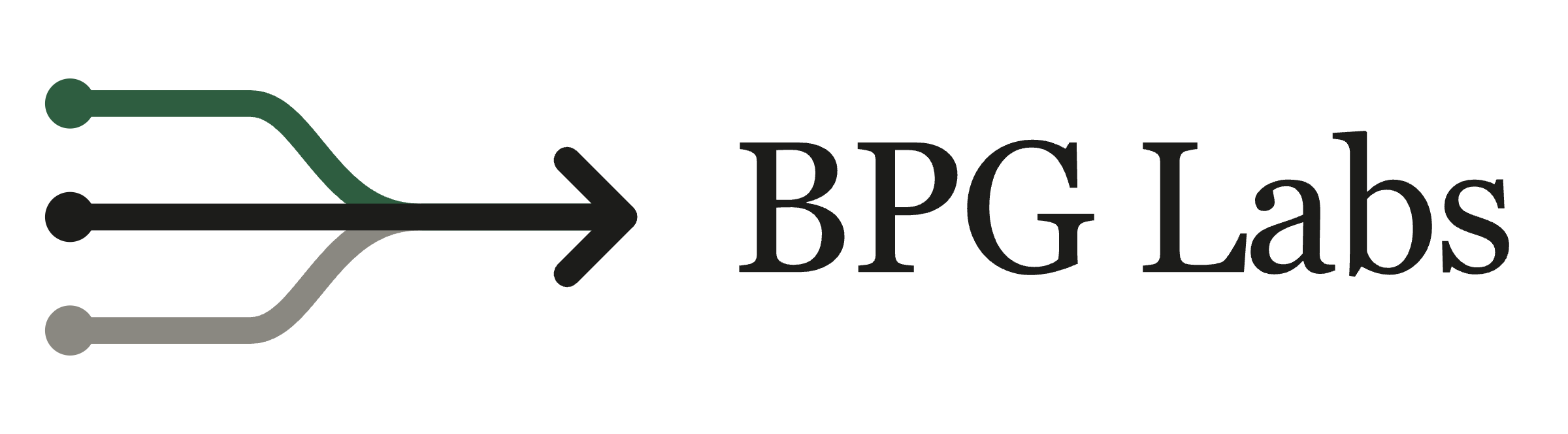 BPG Labs color logo on white