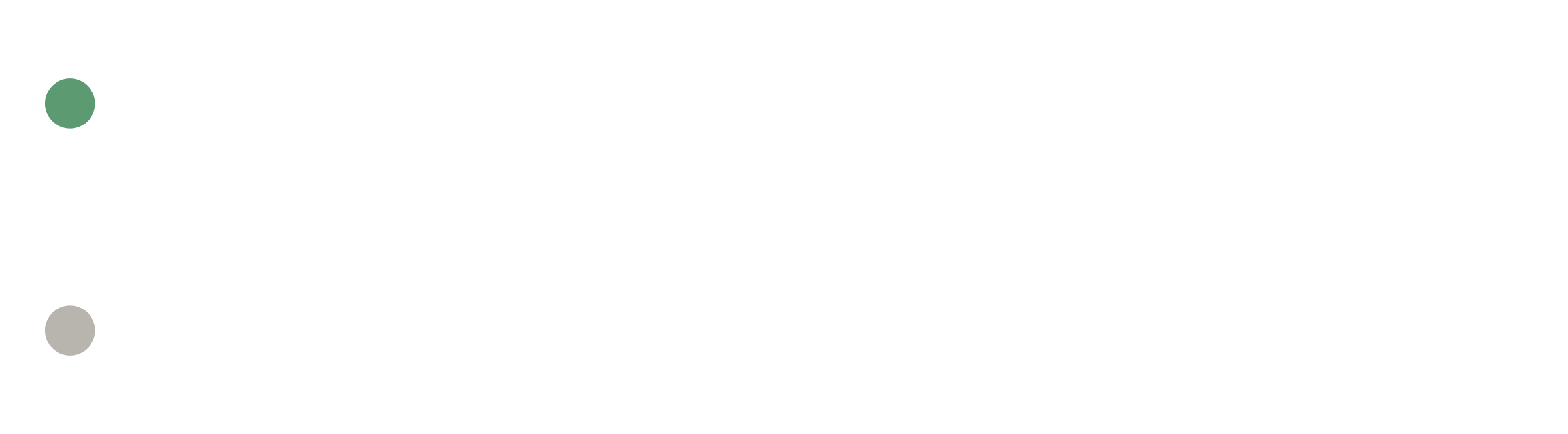 BPG Labs reversed logo on charcoal